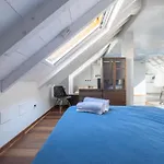 White Loft 阿拉西奥